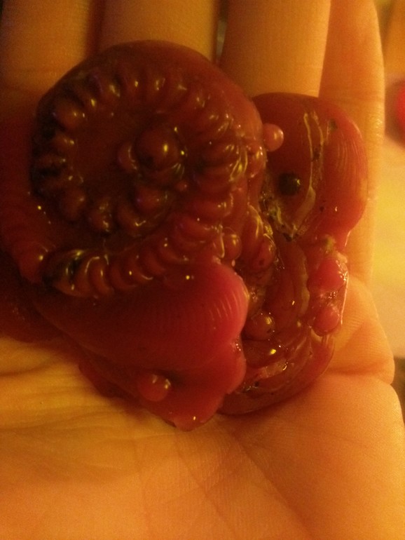 Гадание на воске!!!!