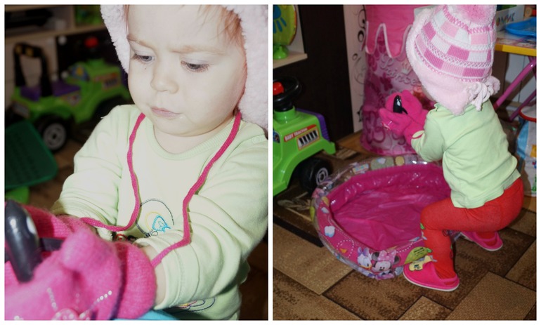 ТН Арктика и Антарктида. ФМ. День 4. Птицы.