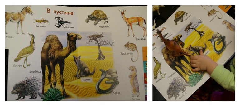 ТН Африка. День 3. Путешествие по пустыне.