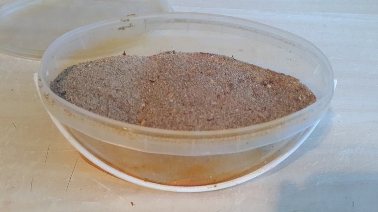 моя бастурма