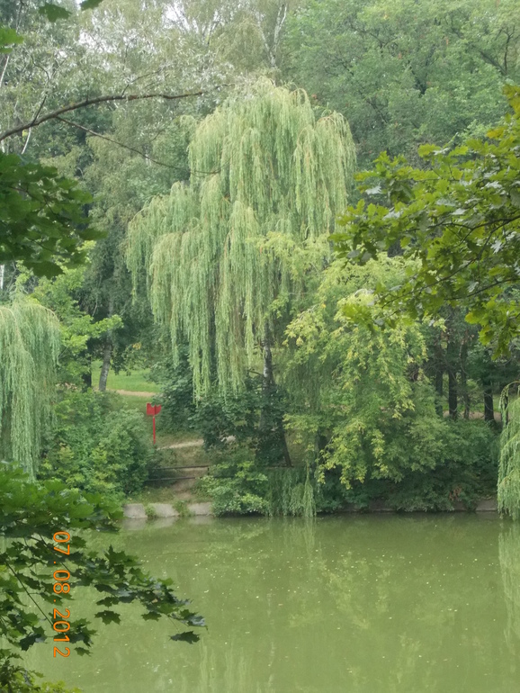 Мое путешествие по России