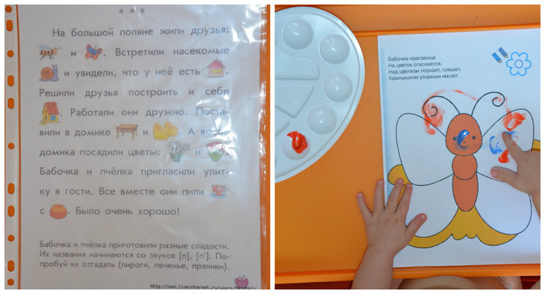 ТН Насекомые. Бабочка.