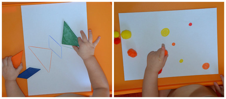 ТН Насекомые. Бабочка.