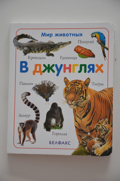 Наши новые книги ( 1 год и 6 месяцев)