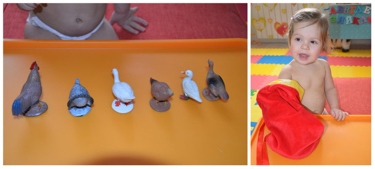 ТН Птицы. Домашние.