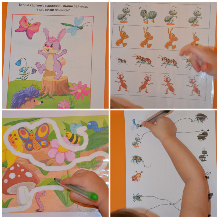 ТН Насекомые. Стрекоза и муравей.