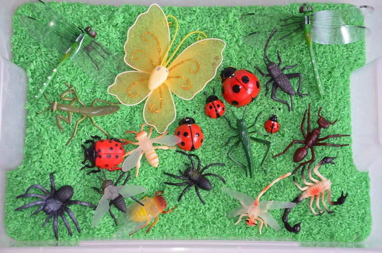 ТН Насекомые. Муха, жуки, кузнечик.