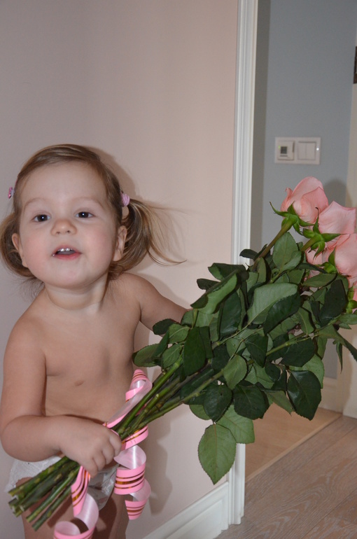 ТН Насекомые. Божья коровка.