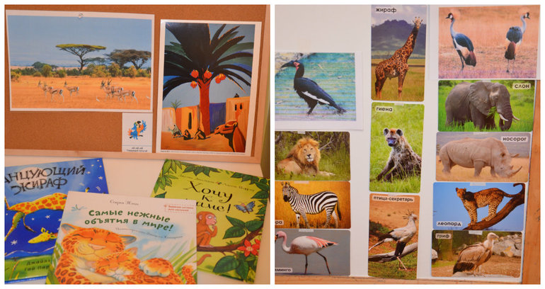 ТН Африка д.3