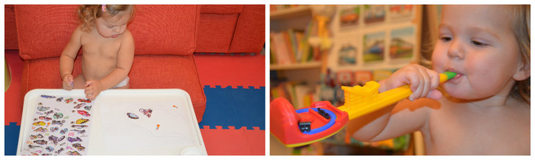 ТН Транспорт