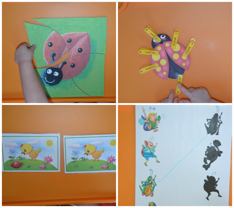 ТН Насекомые. Божья коровка.