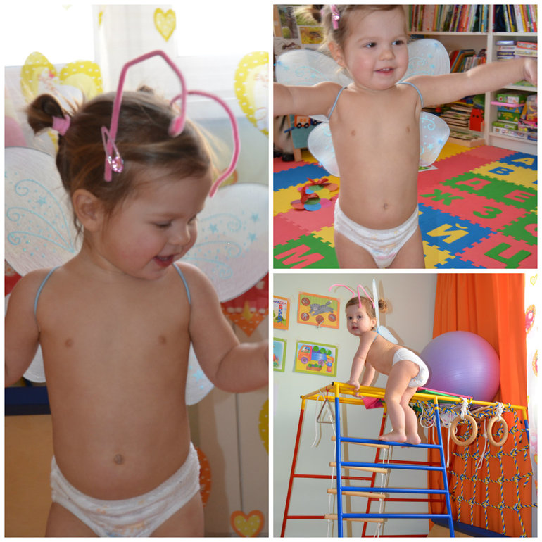 ТН Насекомые. Бабочка.