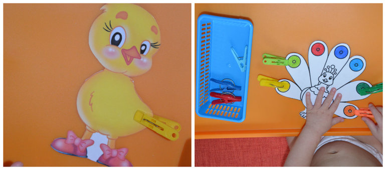 ТН Птицы. Домашние.