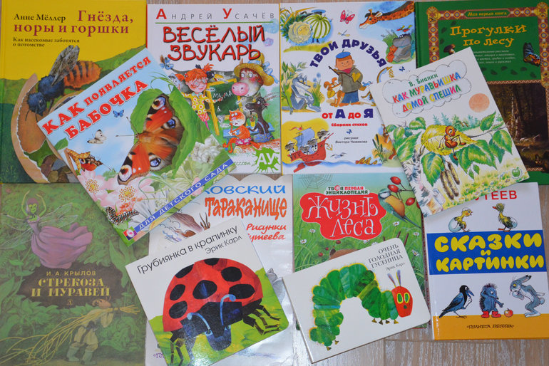 ТН Насекомые. Муха, жуки, кузнечик.