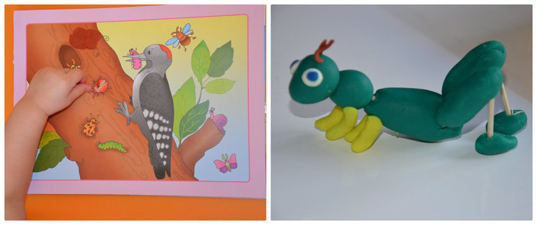 ТН Насекомые. Муха, жуки, кузнечик.