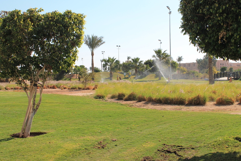 Про наш отдых