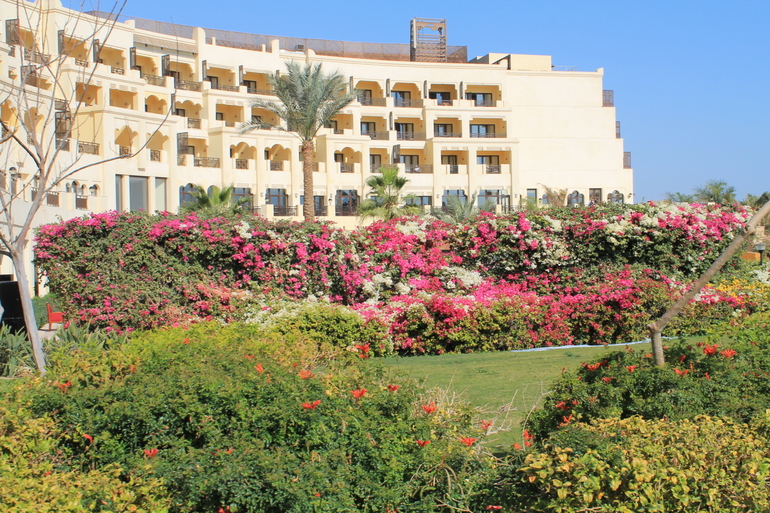 Про наш отдых