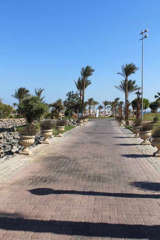 Про наш отдых