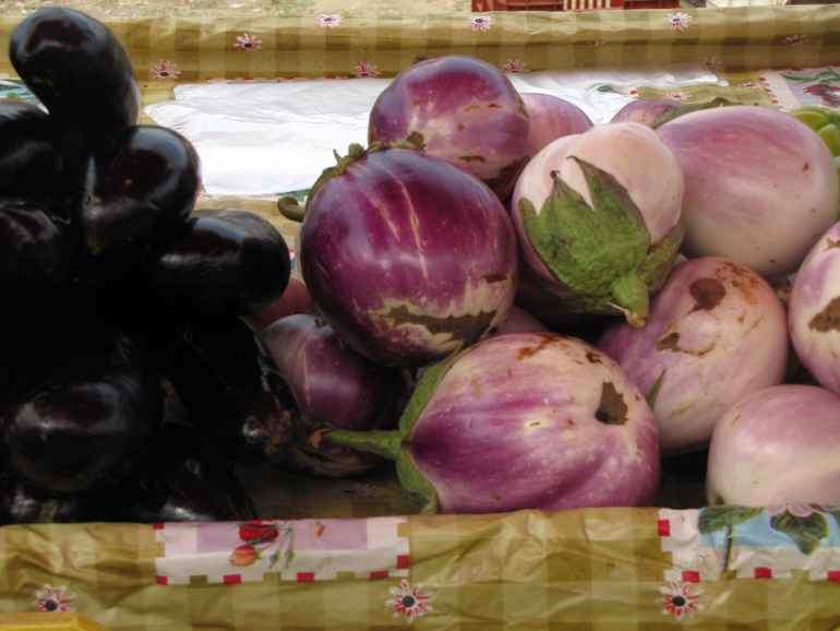 Торони-Ситония-Греция 2013