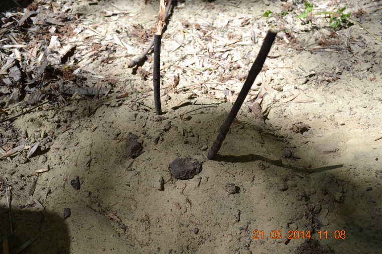 «Сказочные прогулки»