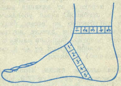 ce4dc136612545baab44381861b680b1.jpg