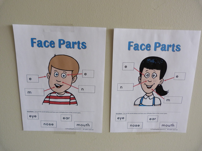 ТН Человек День№1