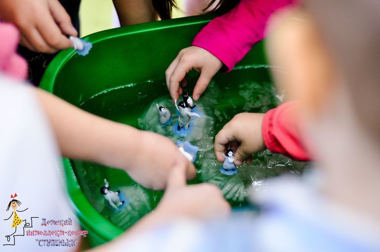 ТЗ "Пингвины-2014"