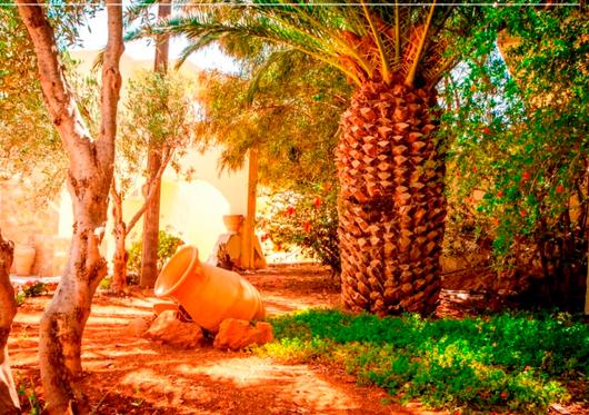 Греция, Крит, Dessole Blue Star 4*