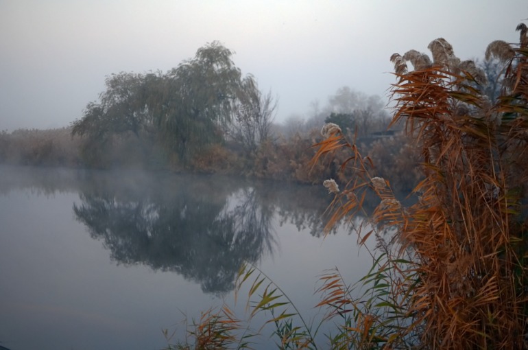 вернулась