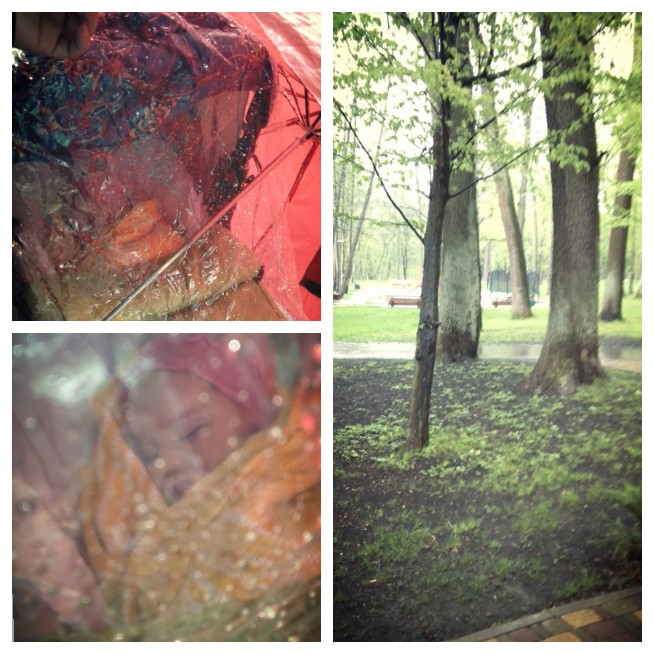 Летний дождь