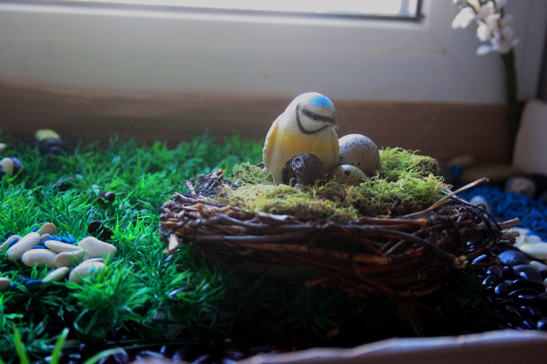 Встречаем весну