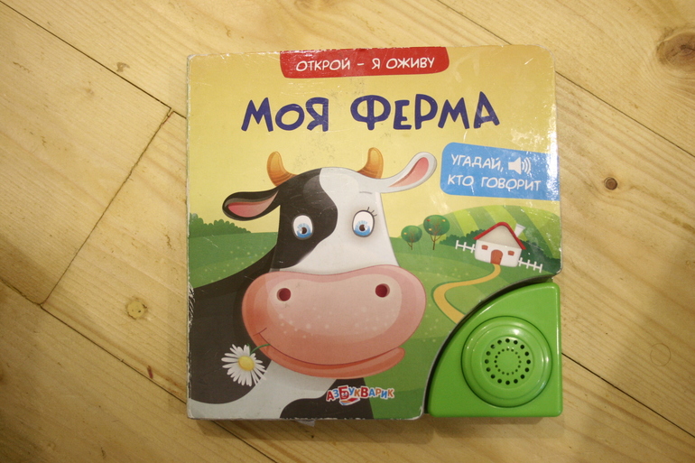 Наши книги в 1 год. Осторожно, Очень много фото!