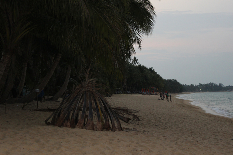 Картинки с отдыха