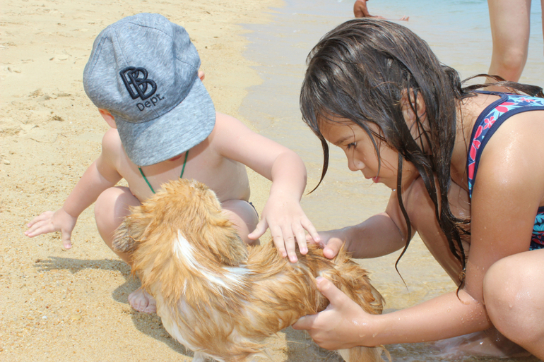 Картинки с отдыха