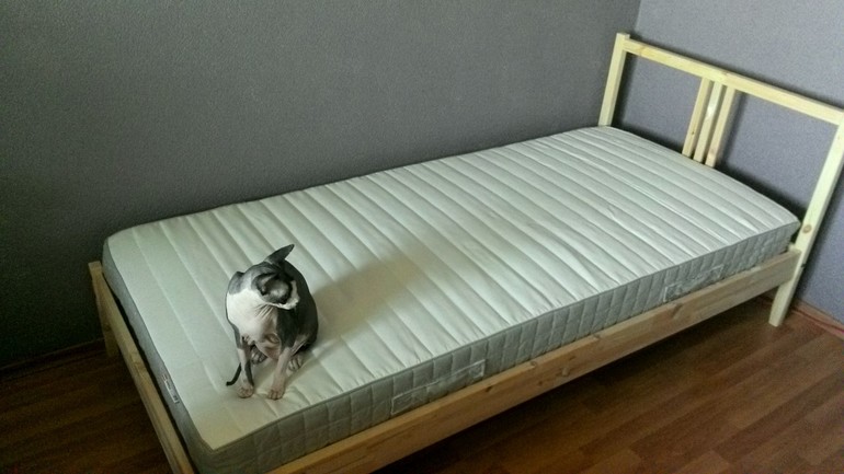 Мы почти собрали детскую комнату!!!