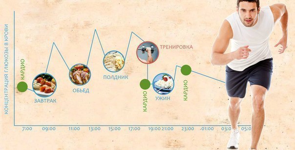 Питание после бега утром фото 0