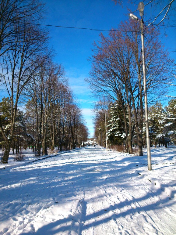 Зимняя прогулка
