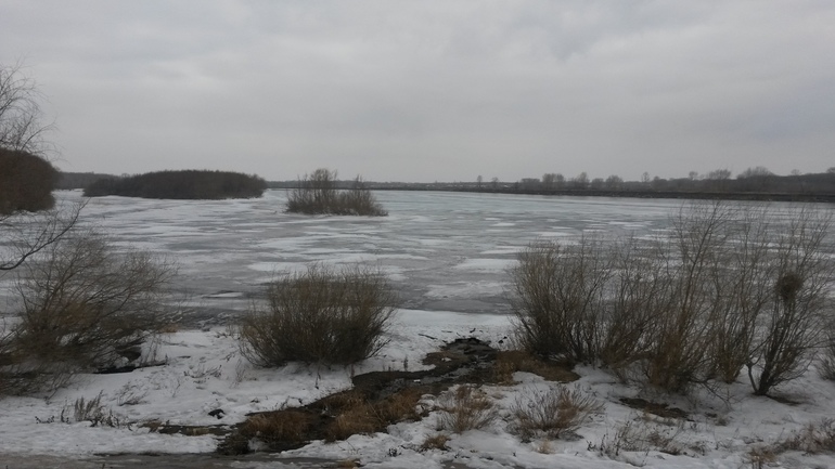 На прогулке...