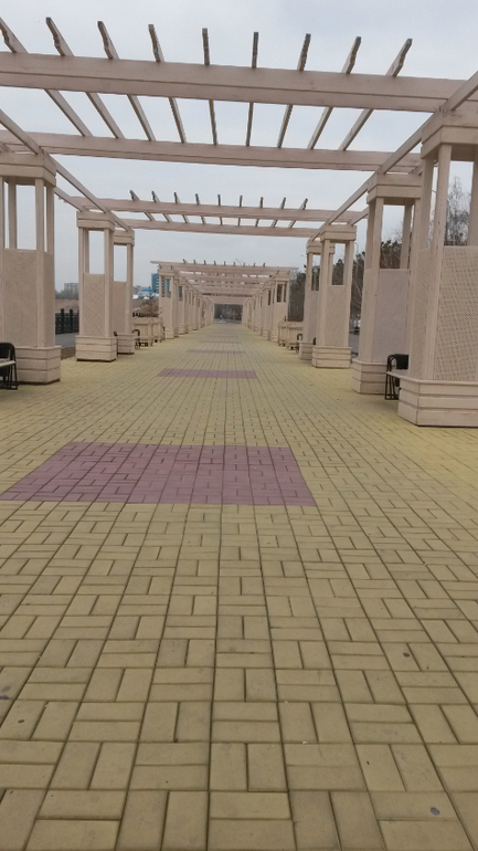 На прогулке...