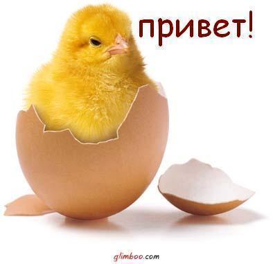 7aa3ed8650f584053dbdc78b5d9fe2fb.jpg