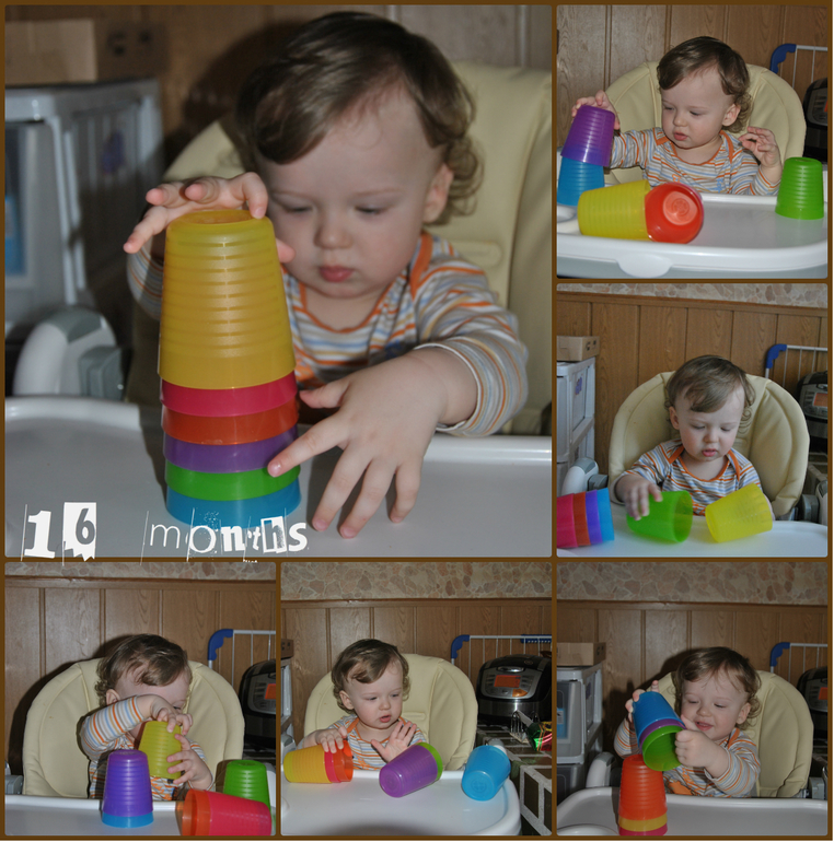 1:4 или 16 месяцев