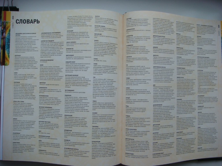 Животные. Большая иллюстрированная энциклопедия