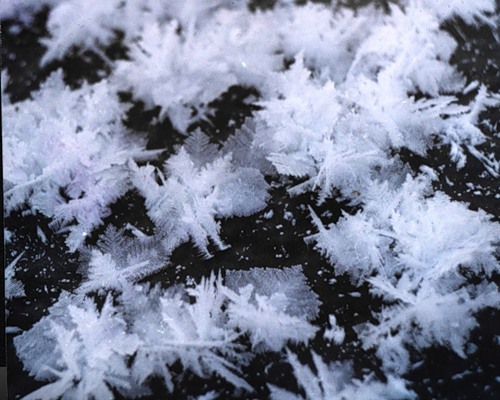 Французский в рамках ТН Зима