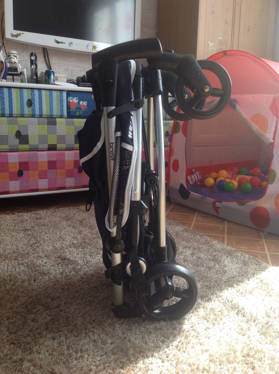 Наша brevy ginger hello kitti