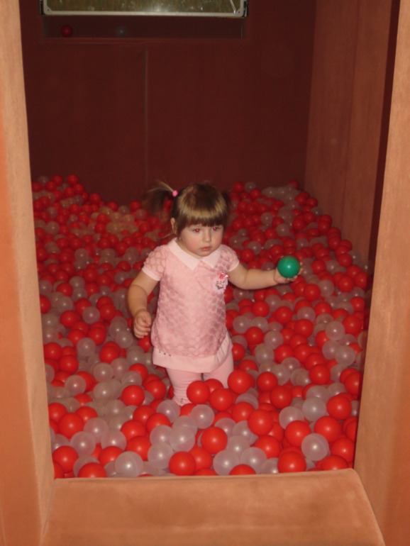 2 года моей любимой Софи!