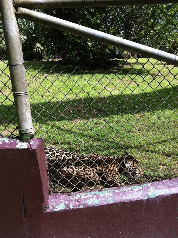 Путевые заметки непутевой путешественницы. Часть 2.