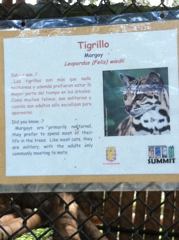 Путевые заметки непутевой путешественницы. Часть 2.