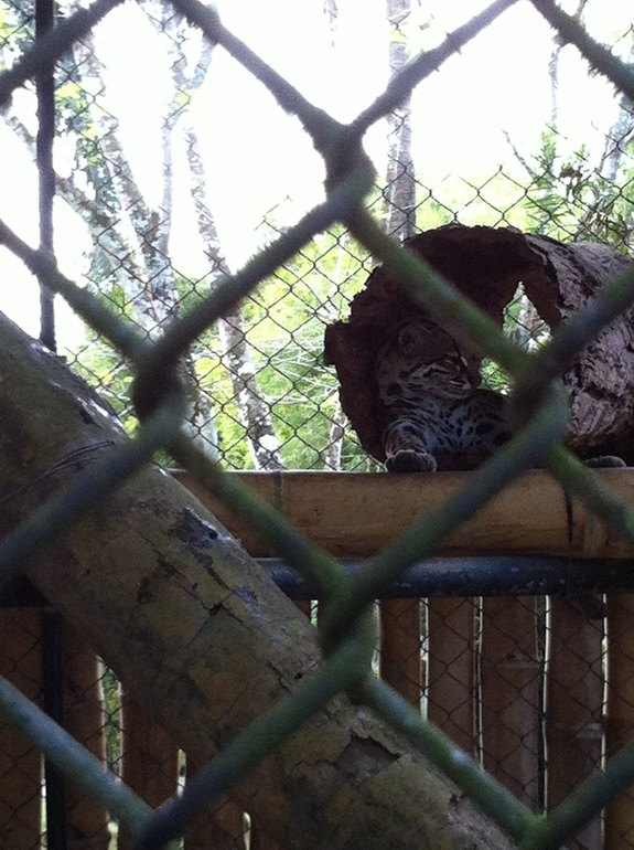 Путевые заметки непутевой путешественницы. Часть 2.