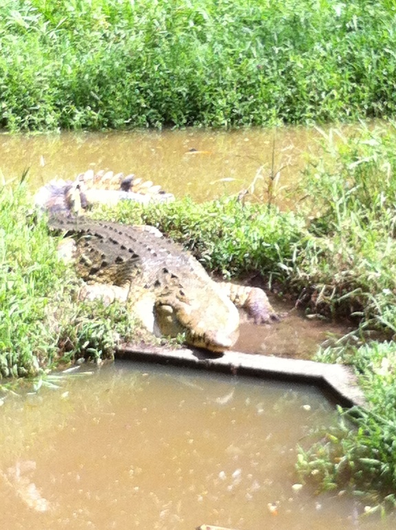 Путевые заметки непутевой путешественницы. Часть 2.