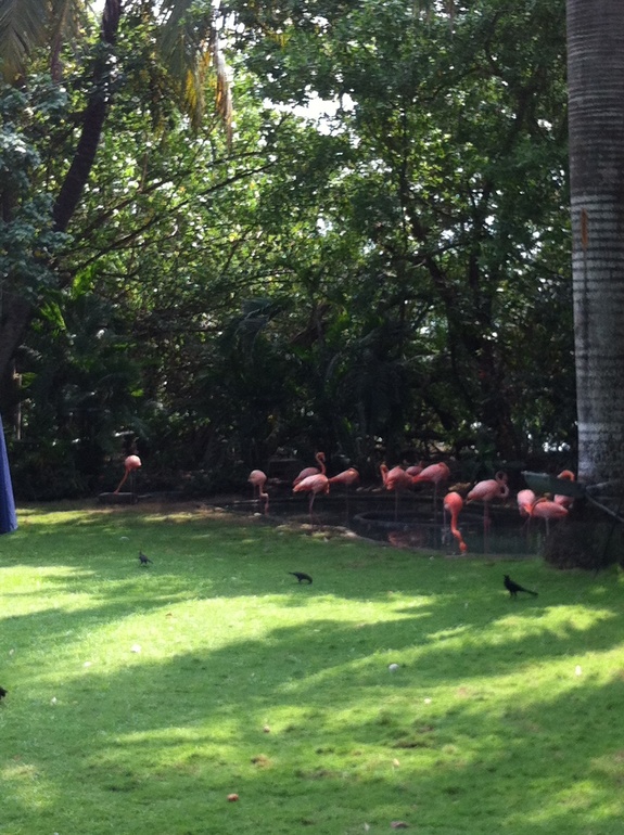 Путевые заметки непутевой путешественницы. Часть 3.